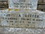 image of grave number 778092